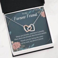 best-friend-necklace-soul-sister-gift-unbiological-sister-friendship-gift-friends-become-family-pE-1629087147.jpg
