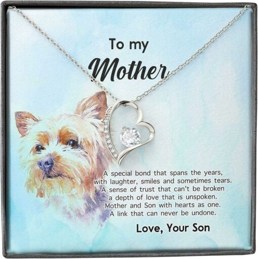 mother-son-necklace-presents-for-mom-gifts-special-bond-trust-love-dog-ro-1626949305.jpg