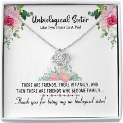 sister-necklace-unbiological-sister-two-peas-in-a-pod-best-friend-necklace-oW-1627701894.jpg