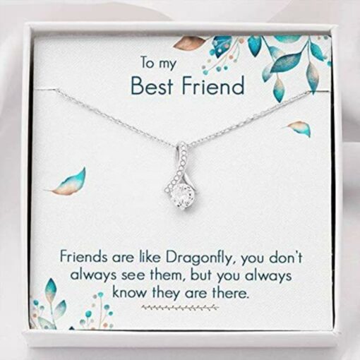 to-my-best-friend-necklace-friend-are-like-dragonfly-you-don-t-always-see-PR-1627115500.jpg