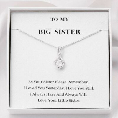 to-my-big-sister-necklace-always-will-love-you-birthday-gift-for-sister-hw-1628245248.jpg