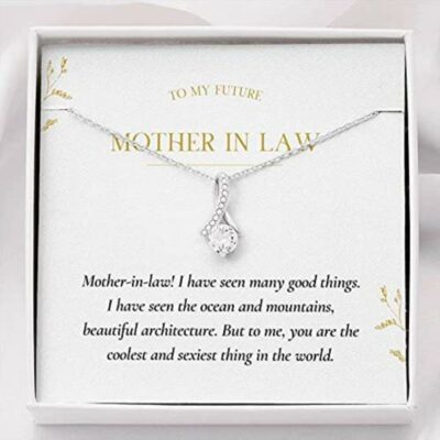 to-my-future-mother-in-law-necklace-gift-you-are-the-coolest-and-sexiest-thing-in-the-world-wQ-1627029254.jpg