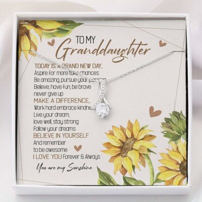 Granddaughter Necklace, To My Granddaughter Gift – You Are My Sunshine Necklace