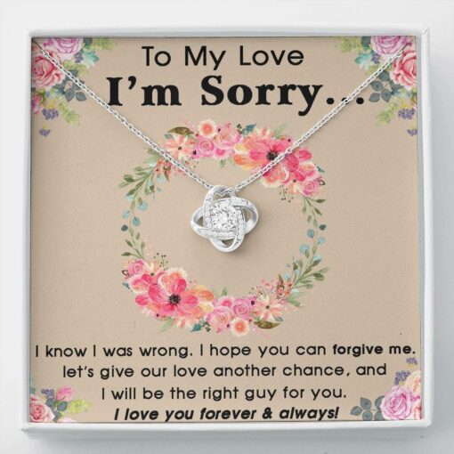 to-my-love-i-m-sorry-necklace-gift-sorry-necklace-for-girl-gift-for-her-Hy-1625301264.jpg