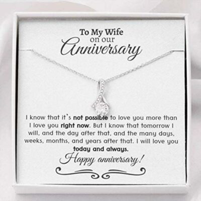 to-my-wife-on-our-anniversary-necklace-wedding-anniversary-gift-for-wife-romantic-OV-1626691337.jpg