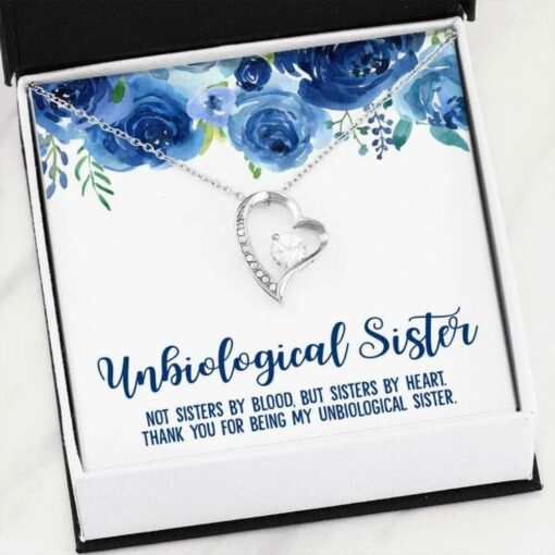 unbiological-sister-necklace-best-friend-soul-sister-sister-in-law-gift-Cz-1627204465.jpg