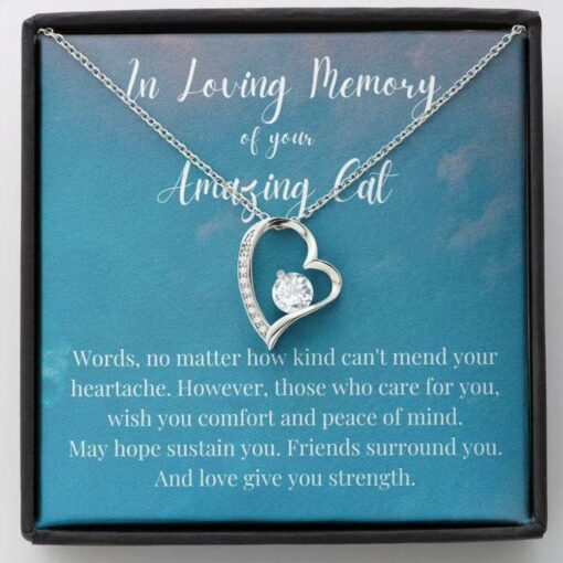 cat-memorial-necklace-pet-loss-gifts-loss-of-cat-gift-in-memory-of-cat-remembrance-gift-gift-il-1630838145.jpg