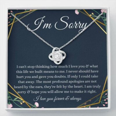 i-m-sorry-necklace-apology-gift-gift-for-wife-girlfriend-partner-forgiveness-gift-CR-1630838094.jpg