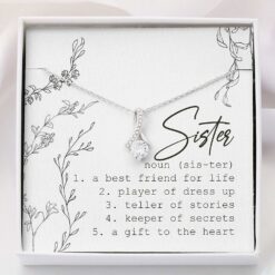 sister-necklace-jewelry-gift-for-sister-definition-sister-necklace-with-gift-box-SK-1629716342.jpg