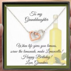 to-granddaughter-necklace-gift-happy-birthday-limoncello-card-and-necklace-Gx-1629970525.jpg